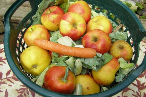cure carotte chou pomme contre l'hyperacidité gastrique