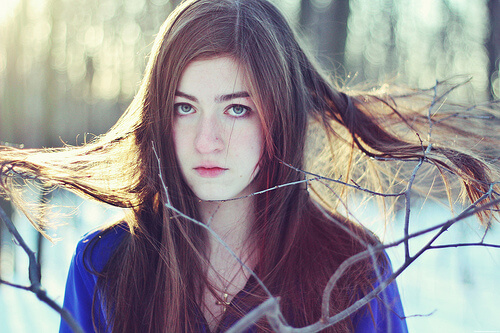 cheveux-secs6