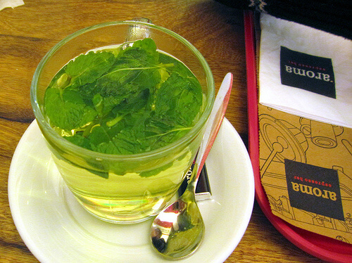 plantes idéales contre l insomnie : menthe poivrée