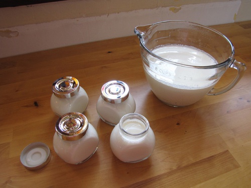 le yaourt pour repeupler la flore intestinale