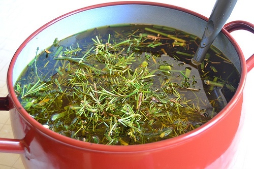 Herbes-aromatiques-500x333
