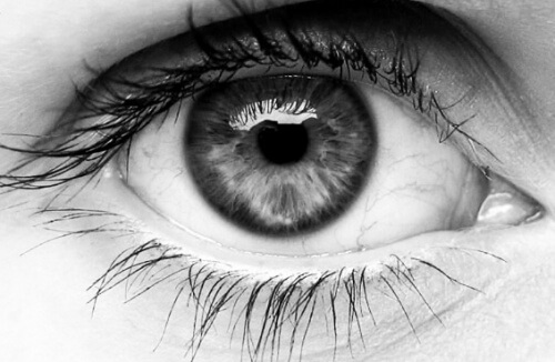 Nos yeux, et donc nos pupilles, sont très sensibles.
