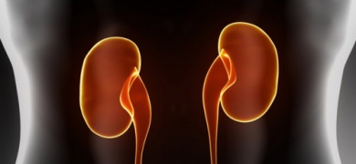 Comment détoxifier vos reins ?