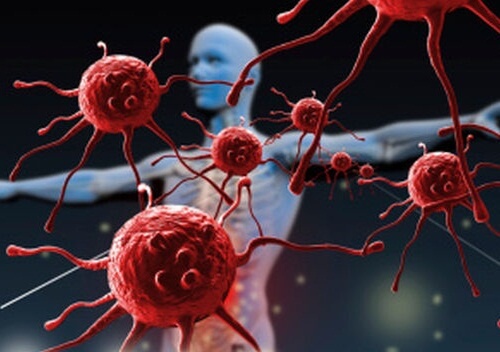 Quels sont les facteurs qui rendent notre système immunitaire faible ?