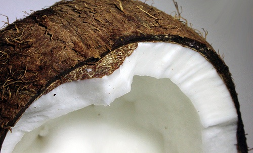 les bienfaits de l'eau de coco : nutriments essentiels