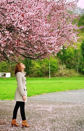 femme regardant un arbre