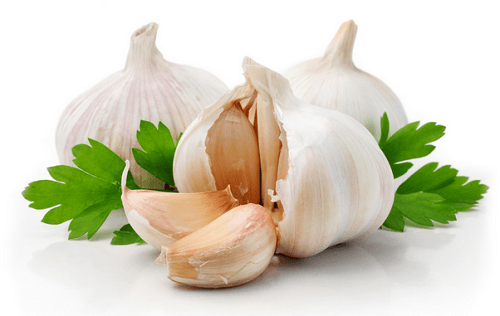 L'ail fait partie des meilleurs antibiotiques naturels