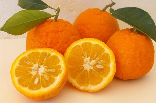 Un régime à l'orange pour mincir de manière saine