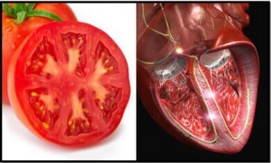 Tomate et cœur