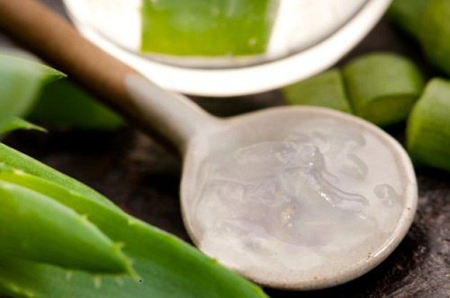 shampooings aux herbes avec de l'aloe vera 