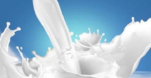 Consommation de lait de vache et ses dangers