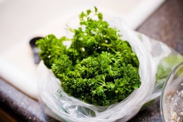 Des plantes pour purifier vos reins naturellement