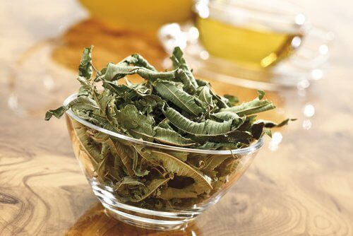 plantes pour soulager le stress chronique