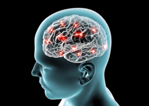 Les concombres pour le cerveau.