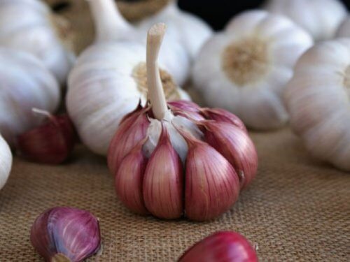L'ail pour réduire le cholestérol.