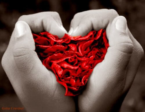 amour1-500x389