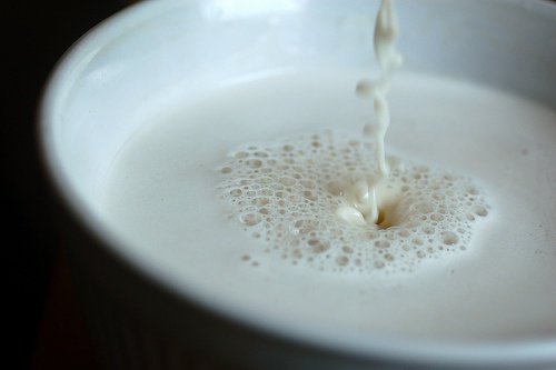 laits-vegetaux-500x333