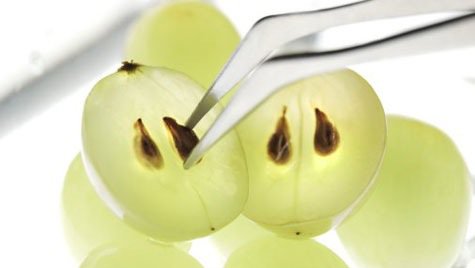 pepins-de-raisin