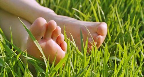 pieds-dans-l-herbe-500x267