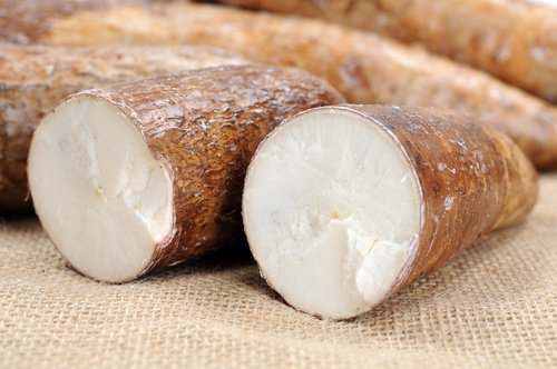 Luttez contre l'arthrite avec du yucca