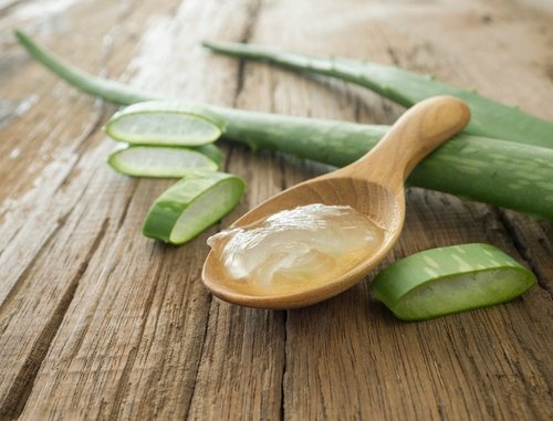 Bienfaits-de-l-aloe-vera-pour-la-peau-500x381