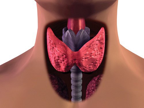 Symptômes d'un possible cancer de la thyroïde chez les femmes