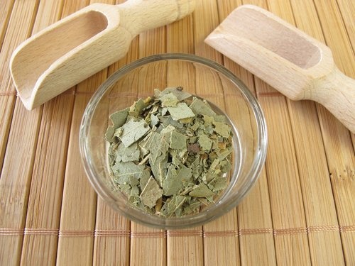 éliminer rapidement les poux et les lentes : feuilles d'eucalyptus