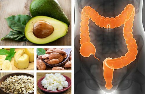 6 aliments pour traiter le syndrome du côlon irritable 6 aliments pour traiter le syndrome du côlon irritable