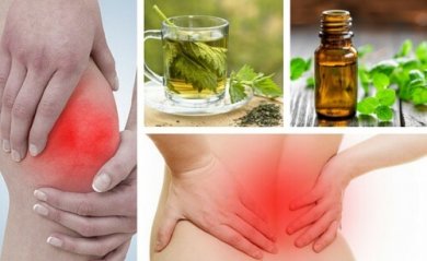 6 plantes aux propriétés analgésiques pour soulager les douleurs