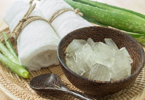Aloe-vera-500x345