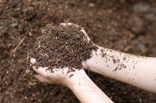 Fertilisant-500x331