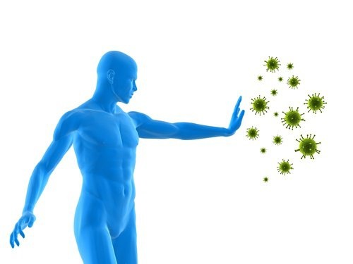 Le-citron-fortifie-le-systeme-immunitaire-500x375