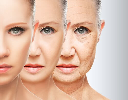 Prevenir-le-vieillissement-500x390