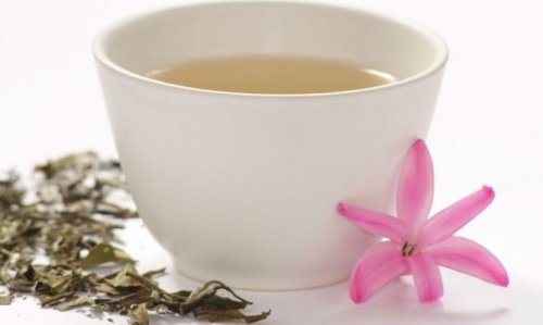 Le thé blanc pour combattre l'anxiété