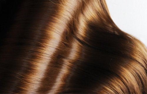 4 remèdes aux plantes pour prendre soin de la beauté de vos cheveux 4 remèdes aux plantes pour prendre soin de la beauté de vos cheveux