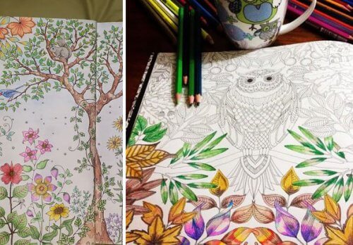 Livres de coloriage une thérapeutique pour adultes  Améliore ta Santé