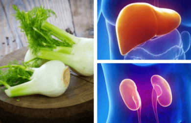 Le fenouil, un remède traditionnel pour soigner le foie et les reins