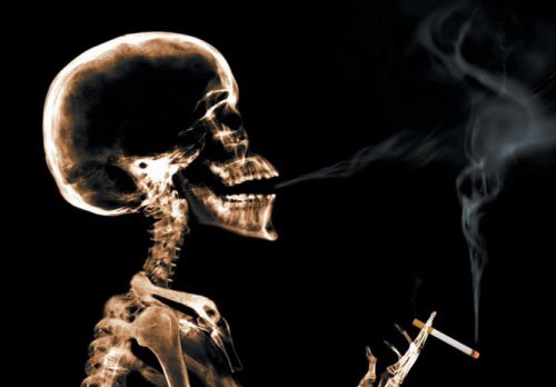 Les pépins contre le tabac.