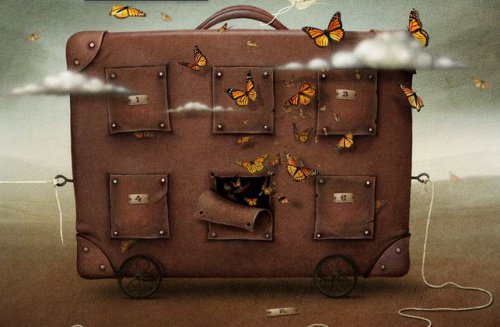 valise-papillons-500x327