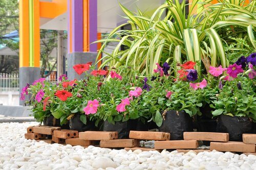Ameliorer-l'aspect-du-jardin-500x332