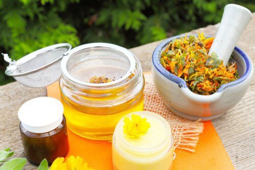 élaborer un baume d'arnica
