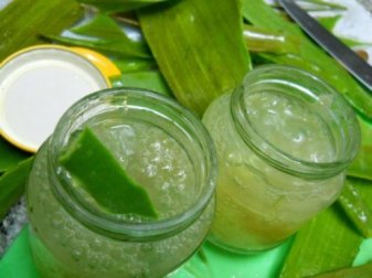 Les applications du gel d'aloe vera fait maison