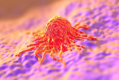 Le-papillomavirus-500x334