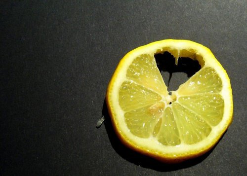 Rondelle de citron