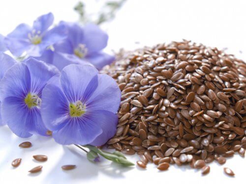 remèdes naturels contre la constipation : graines de lin