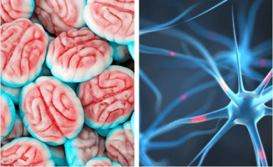 Comment le cerveau réagit-il quand on arrête de manger du sucre ?