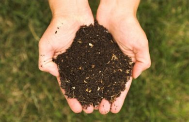 5 engrais écologiques pour nourrir vos plantes