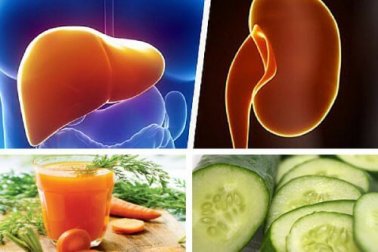 Comment fortifier le foie et les reins?