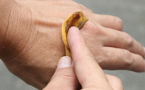 8 usages méconnus de la peau de banane