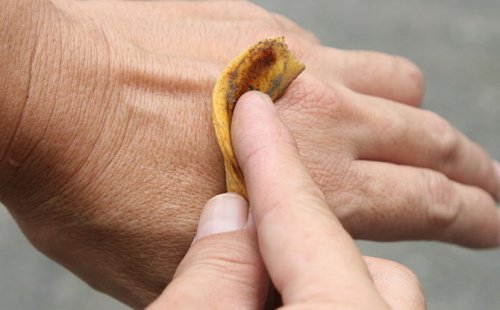 9 usages de la peau de banane 9 usages de la peau de banane